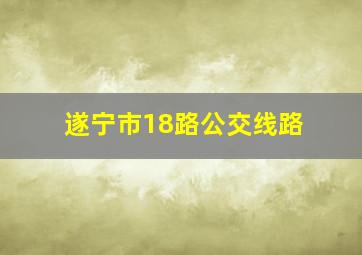 遂宁市18路公交线路