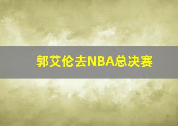 郭艾伦去NBA总决赛