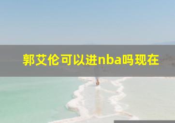 郭艾伦可以进nba吗现在