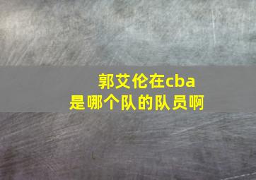 郭艾伦在cba是哪个队的队员啊