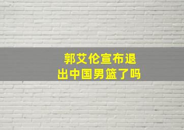 郭艾伦宣布退出中国男篮了吗