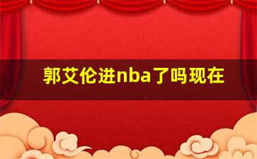 郭艾伦进nba了吗现在