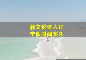 郭艾伦进入辽宁队时间多久