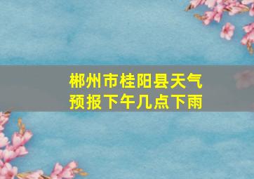 郴州市桂阳县天气预报下午几点下雨