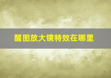 醒图放大镜特效在哪里