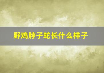 野鸡脖子蛇长什么样子