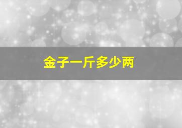 金子一斤多少两