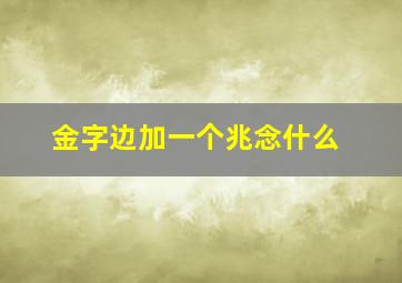 金字边加一个兆念什么