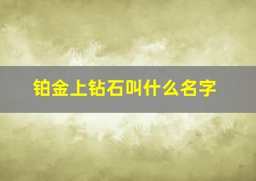 铂金上钻石叫什么名字