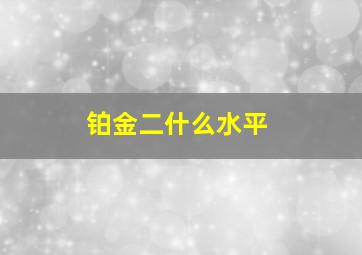 铂金二什么水平