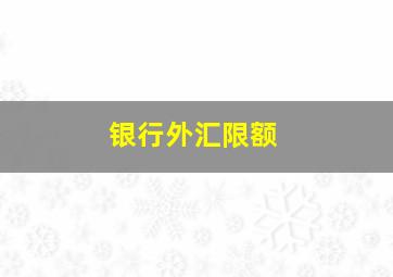 银行外汇限额