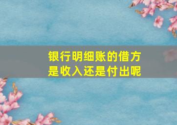 银行明细账的借方是收入还是付出呢