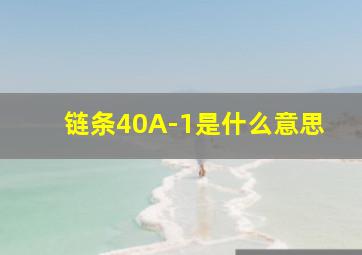 链条40A-1是什么意思