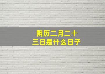 阴历二月二十三日是什么日子