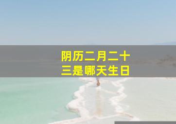 阴历二月二十三是哪天生日