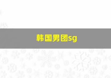 韩国男团sg