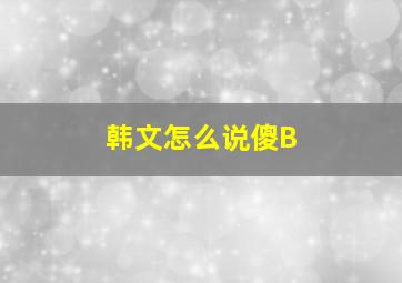 韩文怎么说傻B