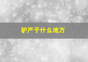 驴产于什么地方