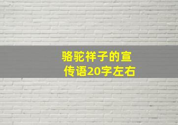 骆驼祥子的宣传语20字左右