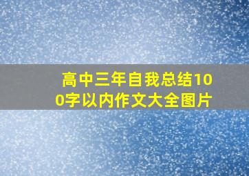 高中三年自我总结100字以内作文大全图片