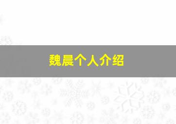 魏晨个人介绍