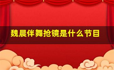 魏晨伴舞抢镜是什么节目