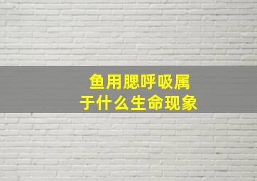 鱼用腮呼吸属于什么生命现象