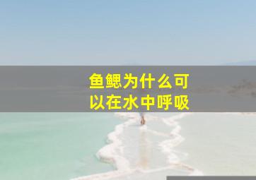 鱼鳃为什么可以在水中呼吸