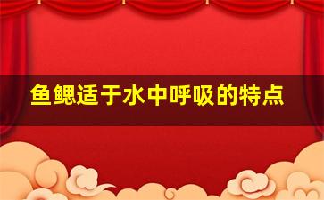 鱼鳃适于水中呼吸的特点