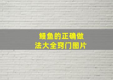 鳗鱼的正确做法大全窍门图片