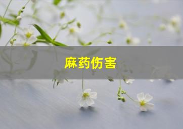 麻药伤害