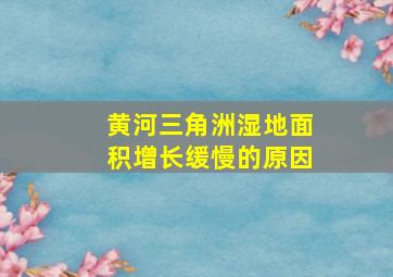 黄河三角洲湿地面积增长缓慢的原因