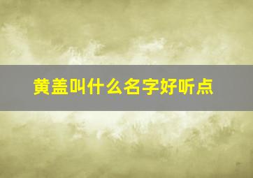 黄盖叫什么名字好听点