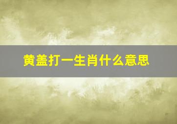 黄盖打一生肖什么意思