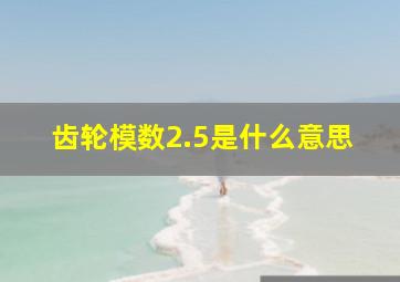 齿轮模数2.5是什么意思