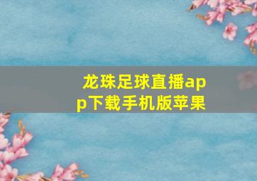 龙珠足球直播app下载手机版苹果