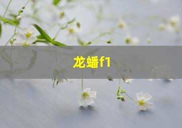 龙蟠f1