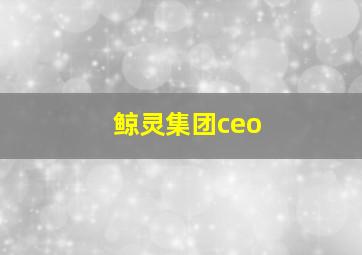 鲸灵集团ceo